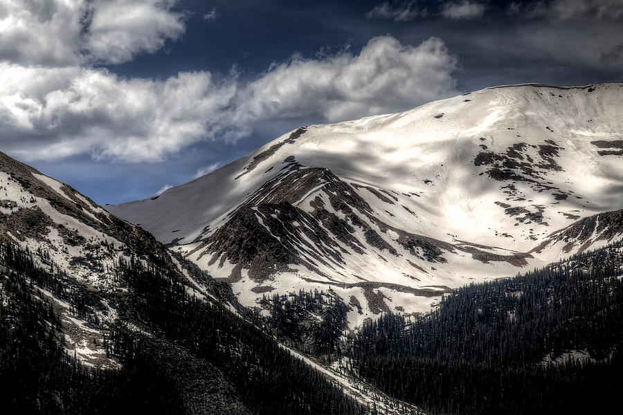 Timberline Photograph by William Wetmore