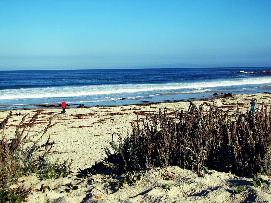 Beach Photograph - Time Alone by Patti Whelan