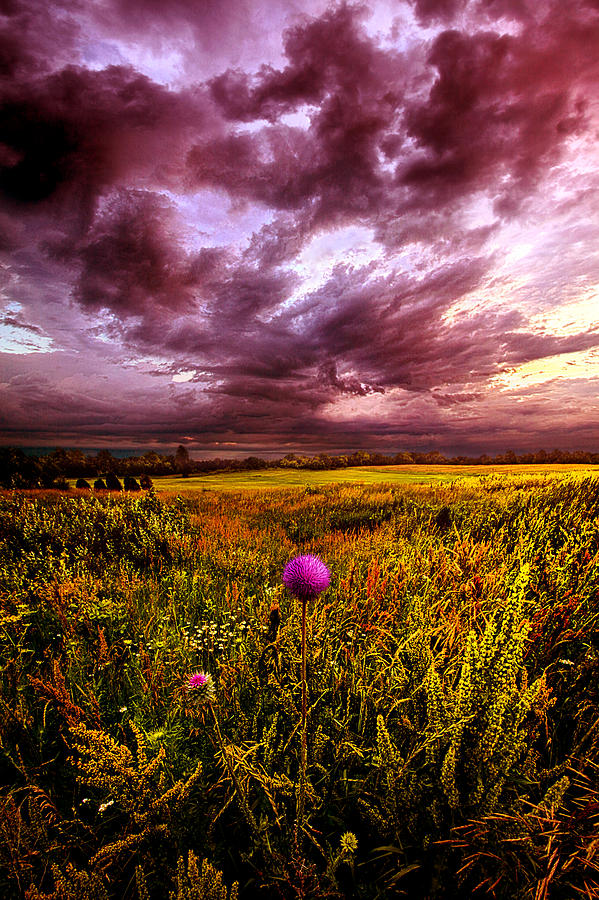 Nature Photograph - Time and Again by Phil Koch