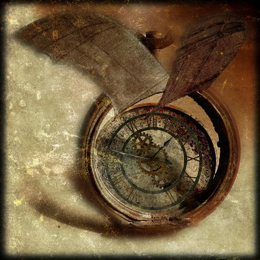 Time Flies Photograph by Tracy Thomas