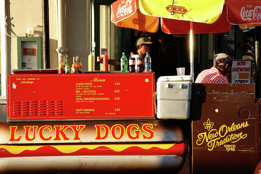 Time for a Lucky Dog Photograph by KG Thienemann