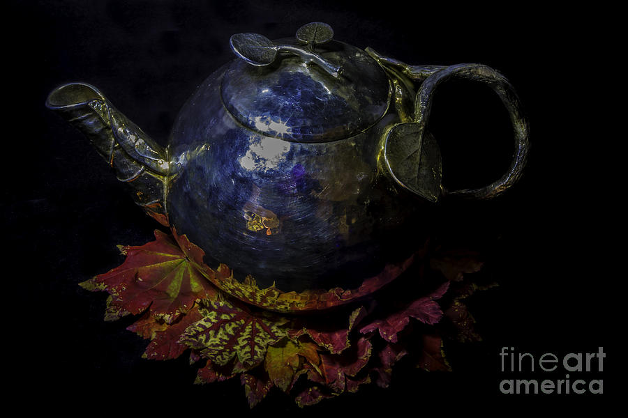 Time For Tea Photograph by Mitch Shindelbower