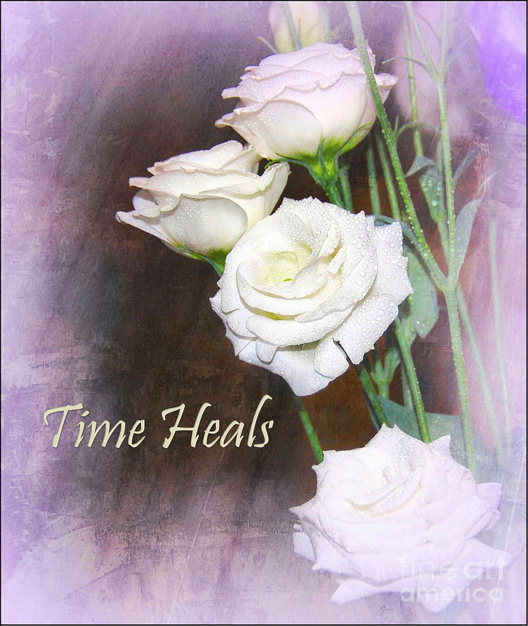 Time Heals  Photograph by Elaine Manley