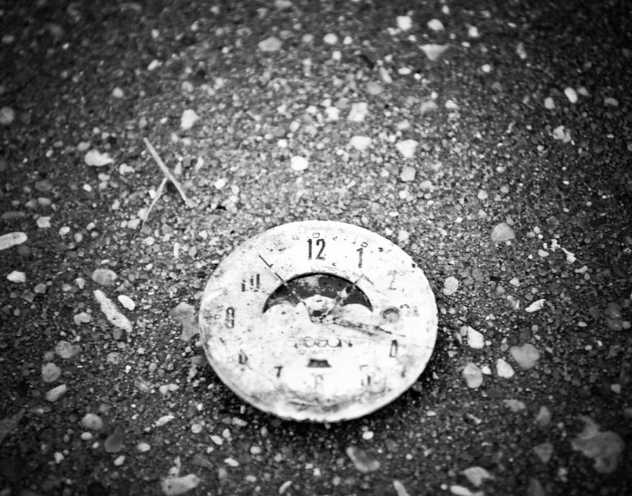 Time is Fleeting Photograph by Maggy Marsh