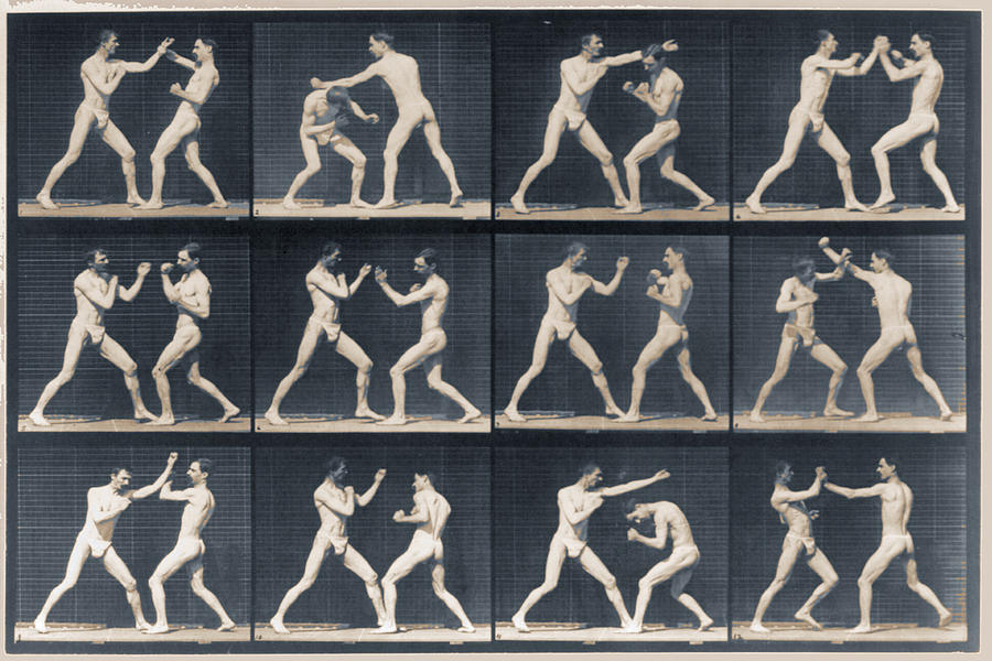 Vintage Painting - Time Lapse Motion Study Men Boxing by Tony Rubino