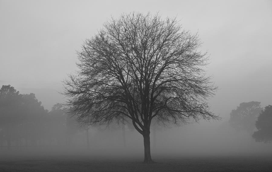 Time Of Life Photograph by Roger Lebel