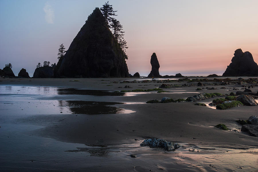 Olympic National Park Photograph - Time Passages by Gene Garnace