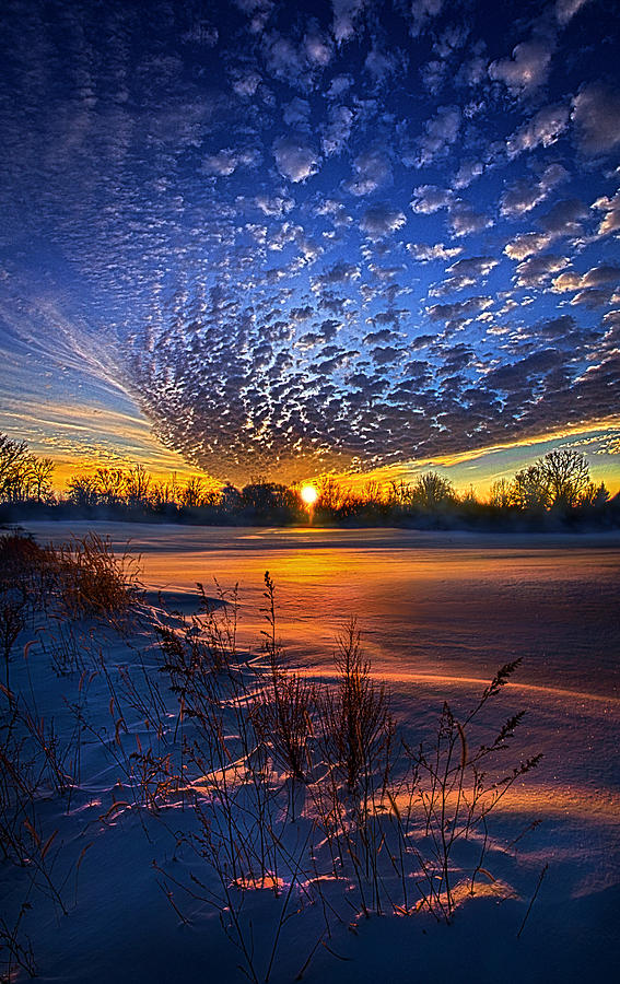 Winter Photograph - Time To Come Home by Phil Koch