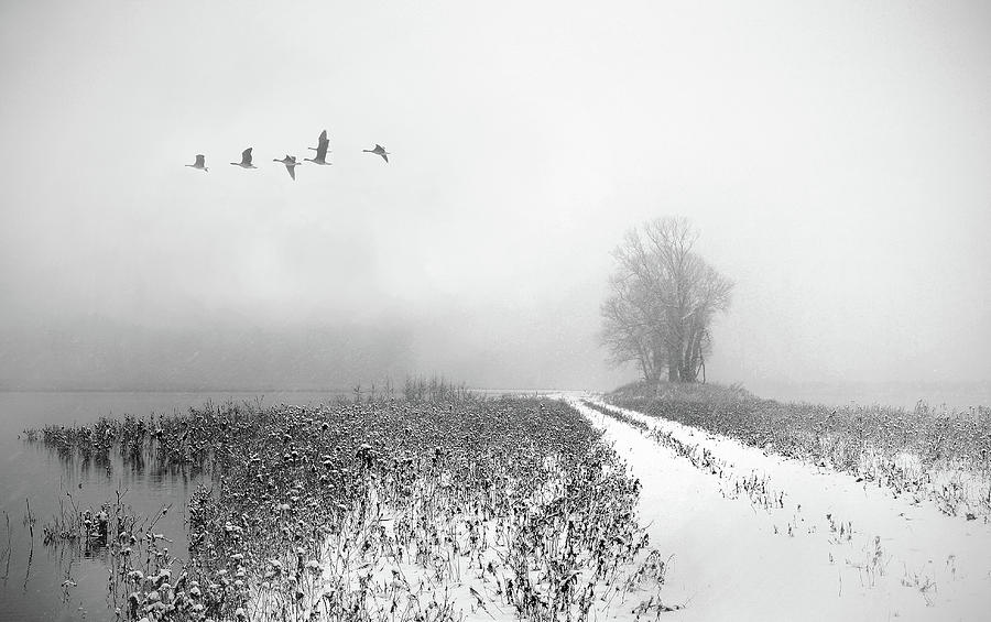 Winter Photograph - Time To Leave by Lou Urlings
