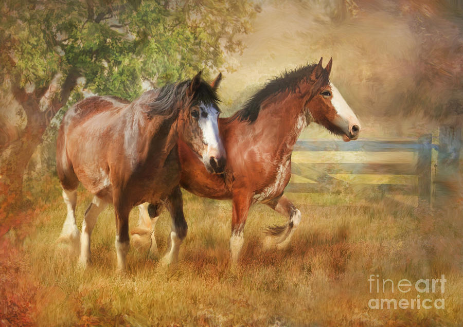 Horse Photograph - Time To Play by Trudi Simmonds