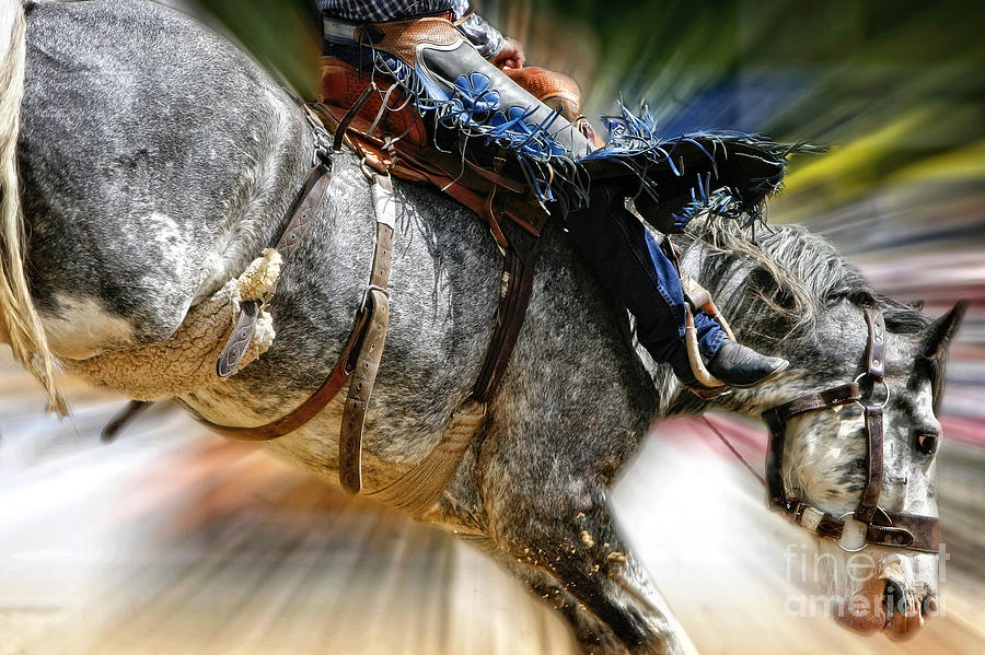 Time to Saddle Bronc Photograph by Lincoln Rogers