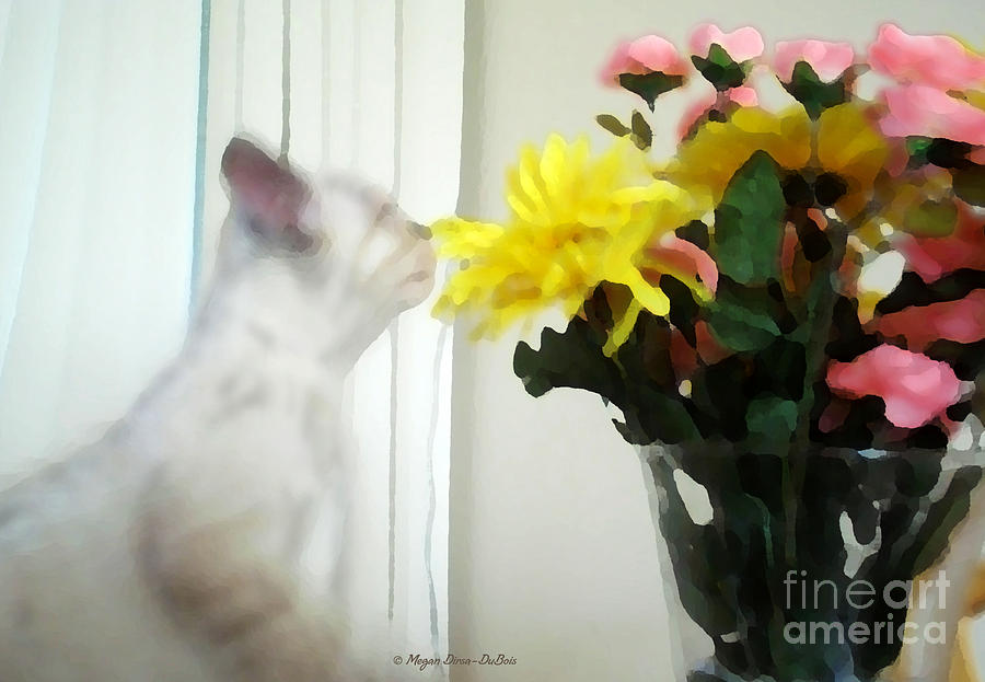 Time to Smell the Flowers Photograph by Megan Dirsa-DuBois