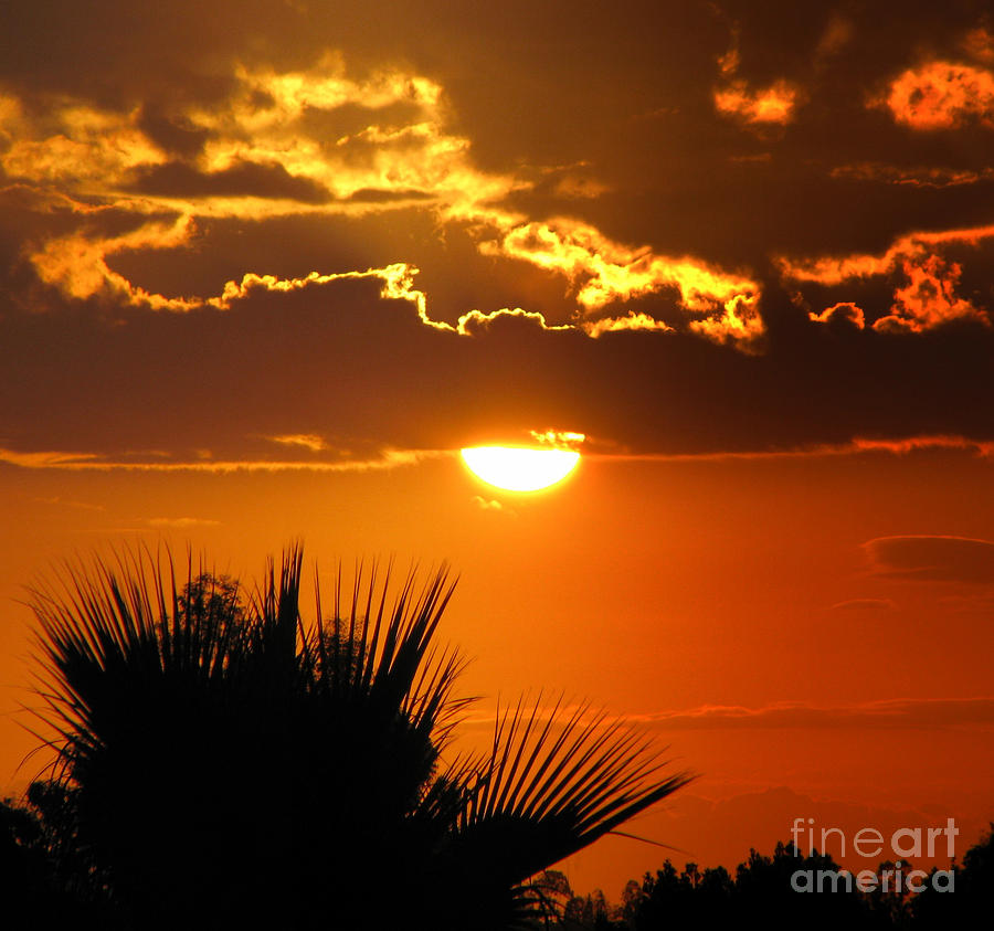 Timeless Photograph by C Ray Roth - Fine Art America