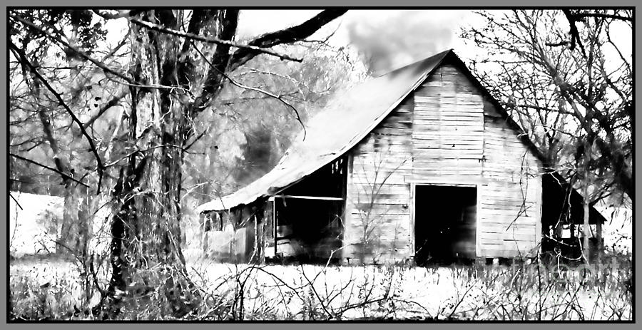 Timeless in Black and White Photograph by Betty LaRue