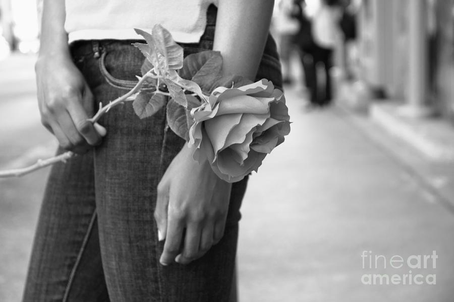 Timeless Rose Mono Photograph by Charline Xia