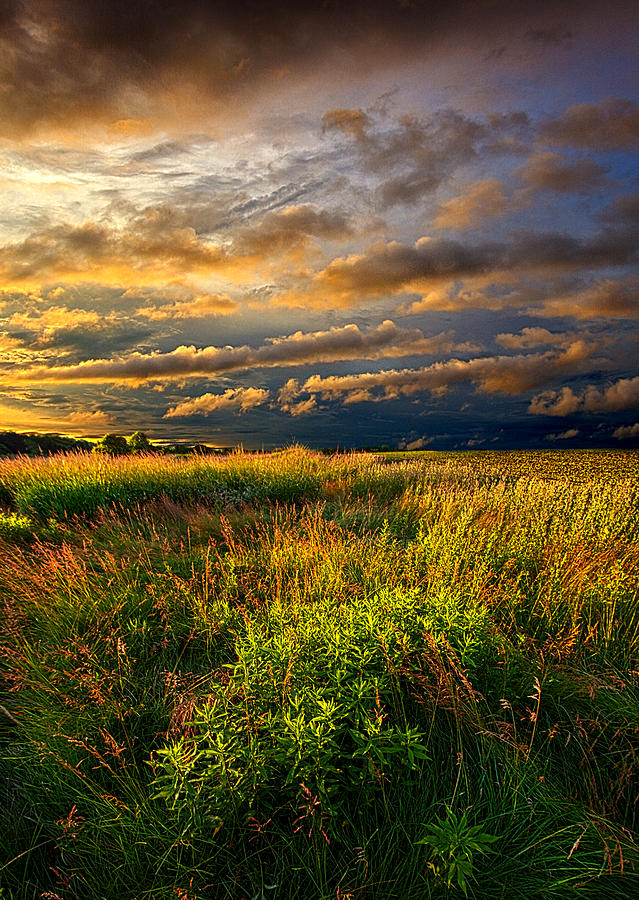 Times of Old Photograph by Phil Koch - Fine Art America