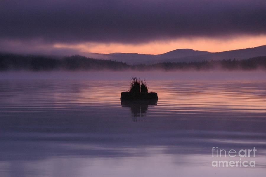 Timothy Lake Serenity Photograph by Rick Bures