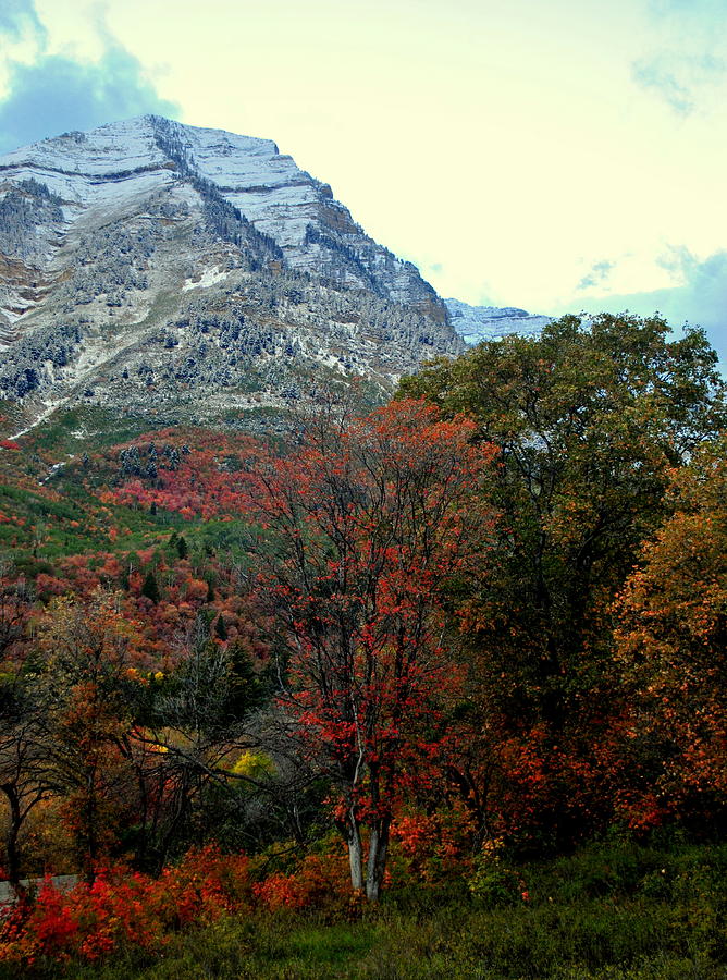 Timpanogos First Snow and Fall Photograph by Nathan Abbott