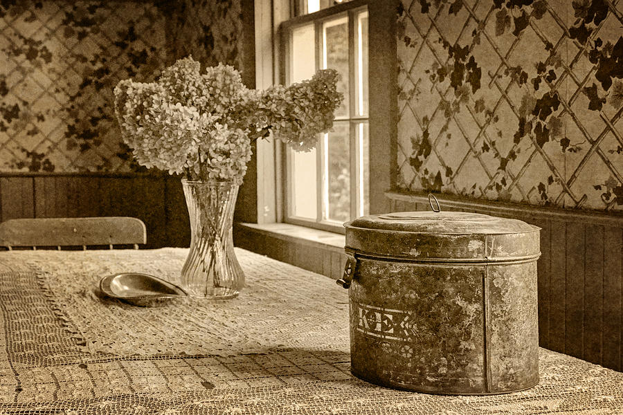 Tin Box and Dried Hydrangea -Vintage Interior - Sepia Photograph by Nikolyn McDonald