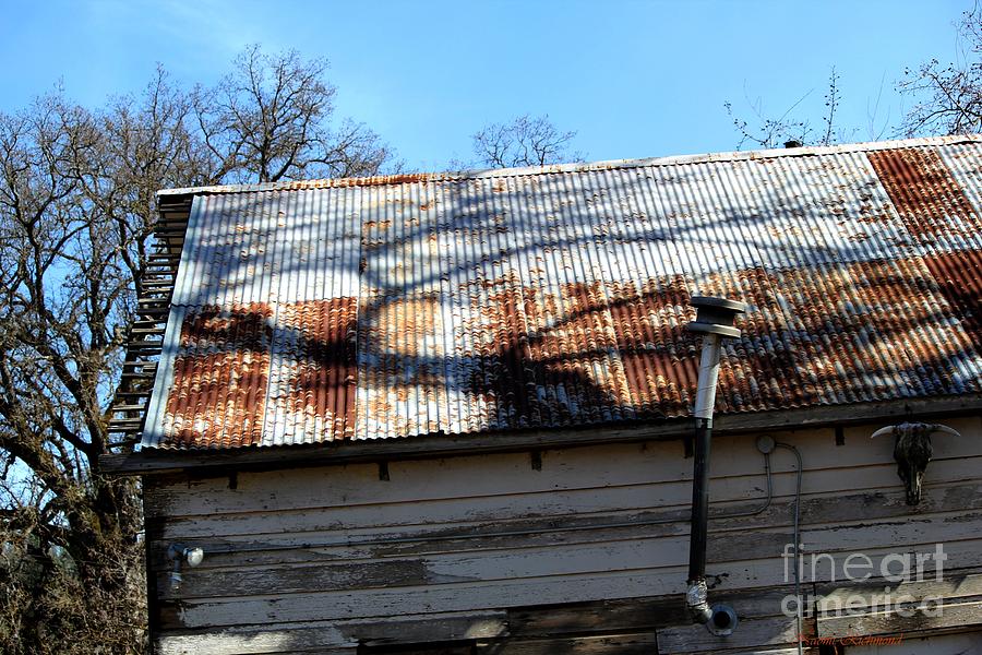 Tin Roof Photograph by Naomi Richmond Fine Art America