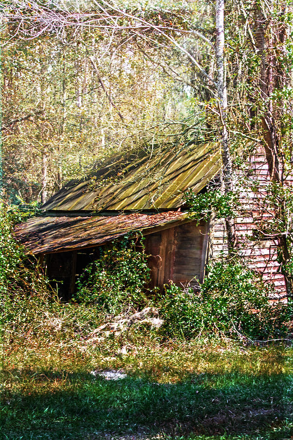 Tin Roof Rusted Photograph by Judy Hall-Folde