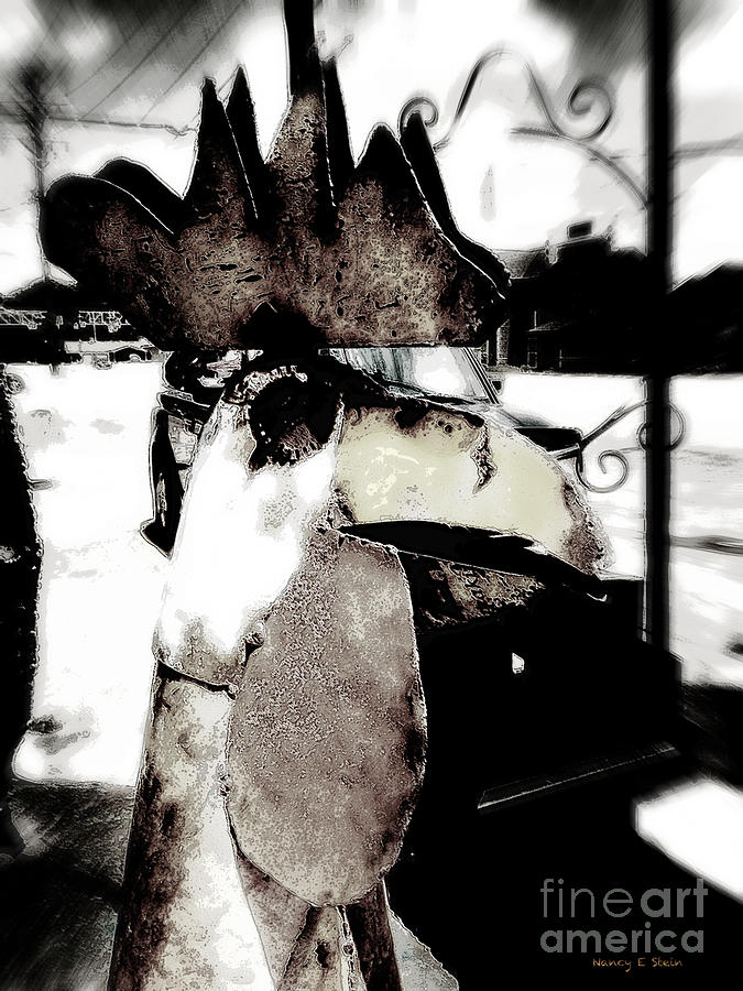 Tin Rooster Photograph