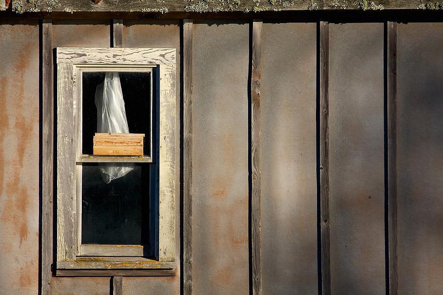 Tin Shack Window Photograph by Stuart Litoff