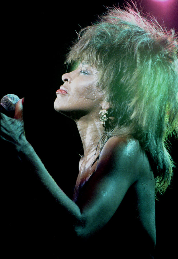Tina Turner Profile 1984 Photograph by Nancy Clendaniel