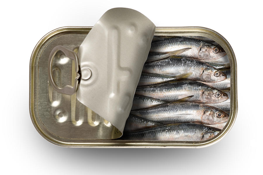 Tinned sardines Photograph by Aleaimage