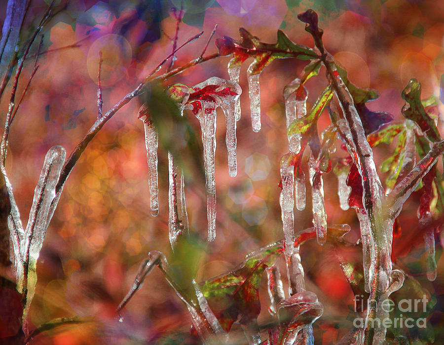Tiny Arch with Ice Photograph by Judi Bagwell