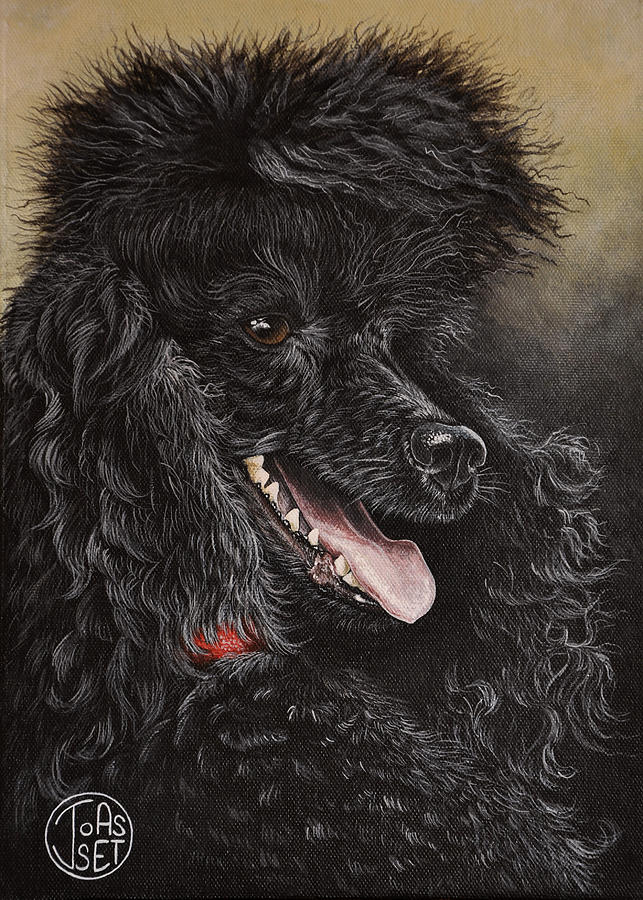 black poodle painting