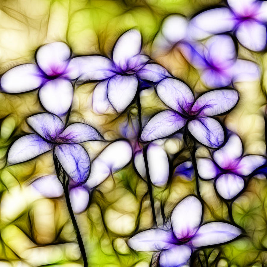 Tiny Bluet Wildflower Batik Photograph by Kathy Clark