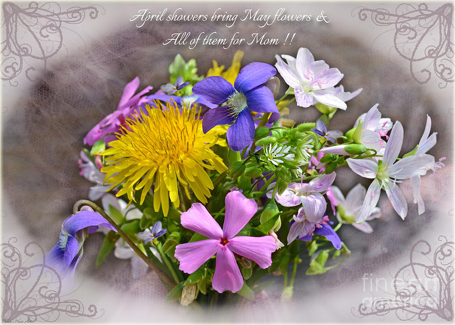 Tiny Boquet Mothers Day card Photograph by Debbie Portwood