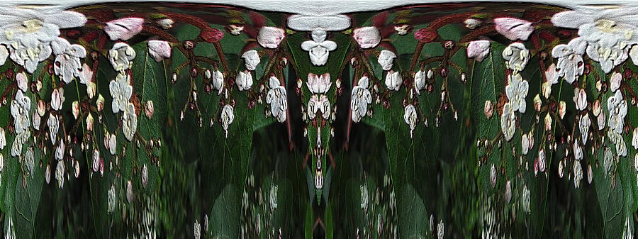 Tiny Floral Unleashed Digital Art by Tim Allen - Fine Art America