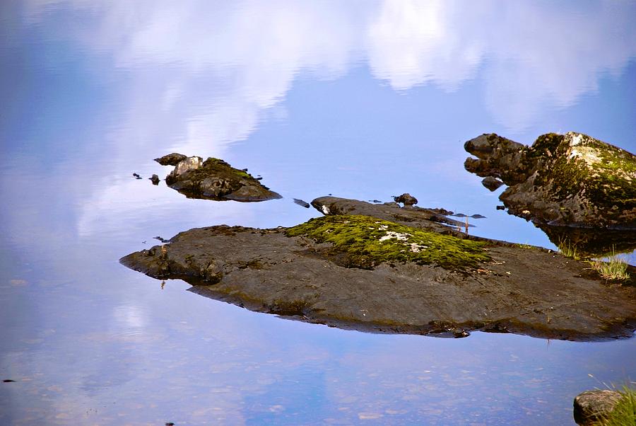 Reflection Photograph - Tiny Islands by Norma Brock