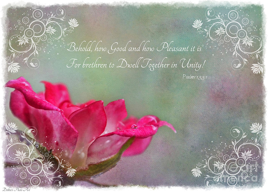 Tiny Miniature Rose in pink and white with Verse Photograph by Debbie Portwood