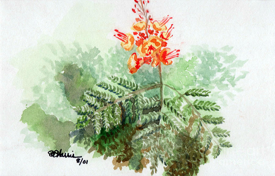 Flower Drawing - Tiny Sparks by Brian Edward Harris Flower Drawing - Tiny Sparks by Brian Edward Harris