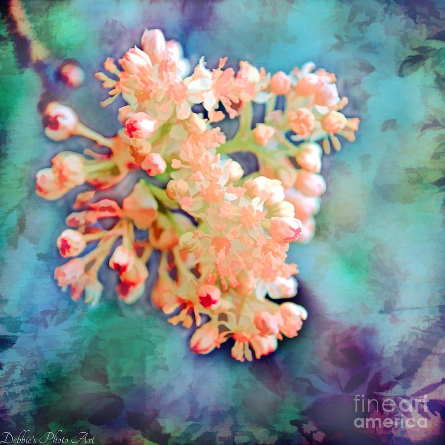 Tiny Spring Tree Blooms - Digital Color Change and Paint Photograph by Debbie Portwood