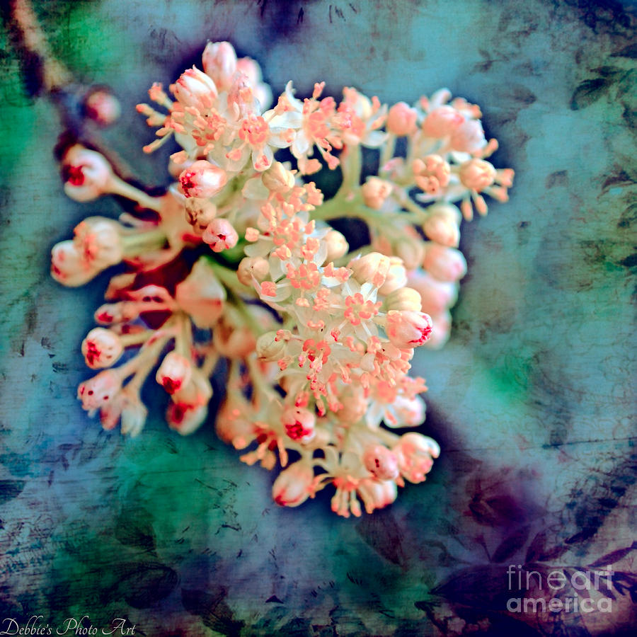 Tiny Spring Tree Blooms - Digital Color Change Photograph by Debbie Portwood