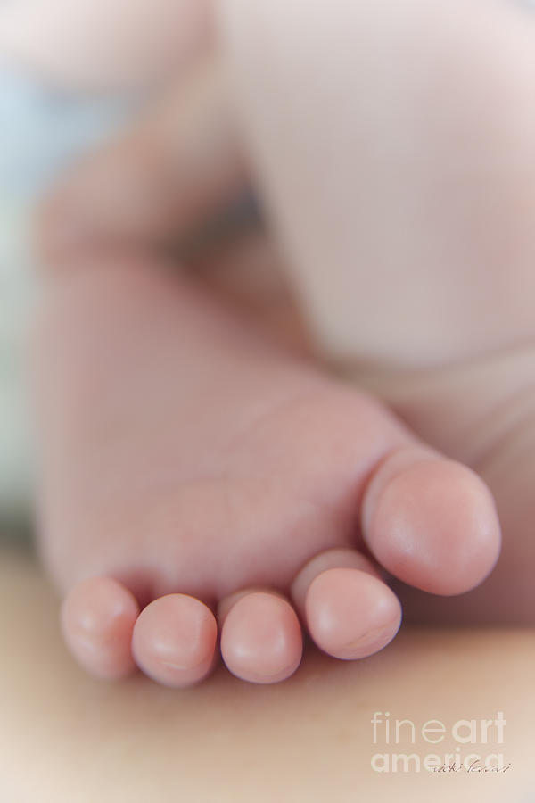 Tiny Toes Photograph by Vicki Ferrari