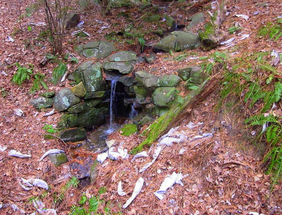 Tiny Waterfall Photograph by Peter LaPlaca - Fine Art America