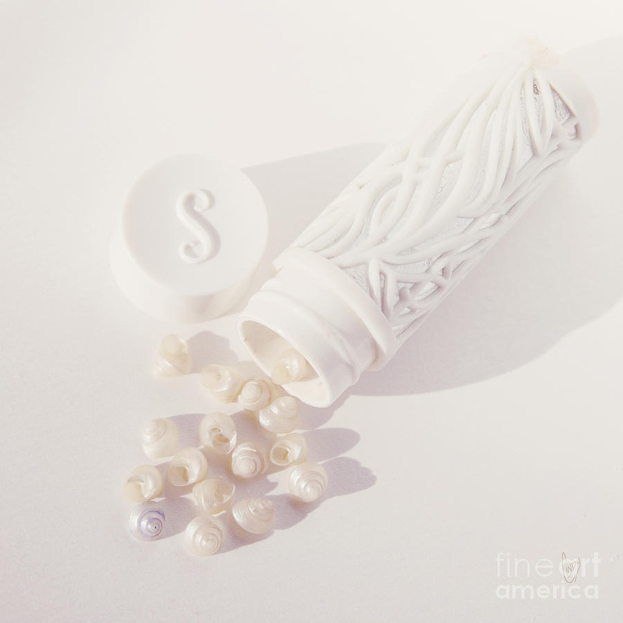 Tiny white seashells Photograph by Cindy Garber Iverson