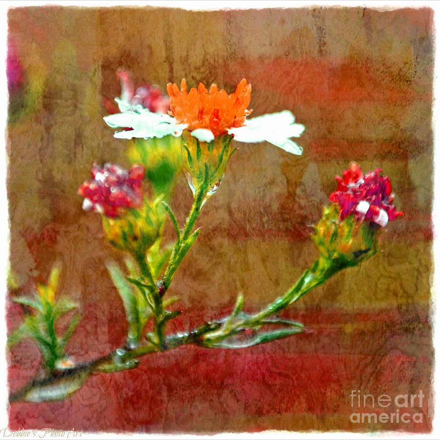 Tiny Wildflowers - Digital Paint IV Photograph by Debbie Portwood