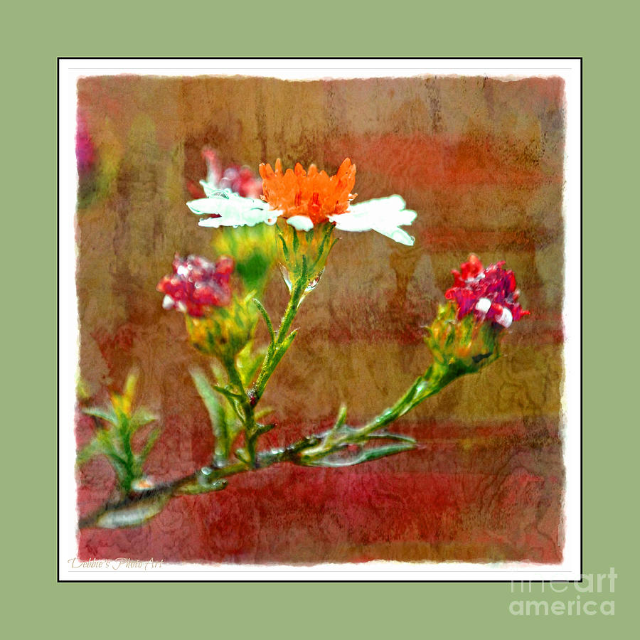 Tiny Wildflowers - Digital Paint IV Green Frame Photograph by Debbie Portwood