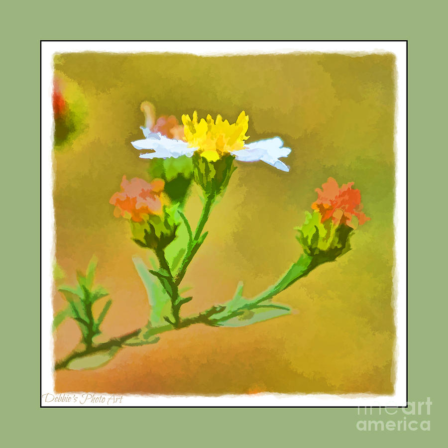 Tiny Wildflowers-Digital Paint I - Green  frame Photograph by Debbie Portwood