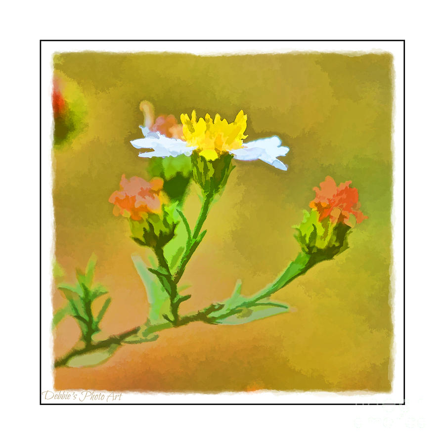 Tiny Wildflowers-Digital Paint I - White frame Photograph by Debbie Portwood