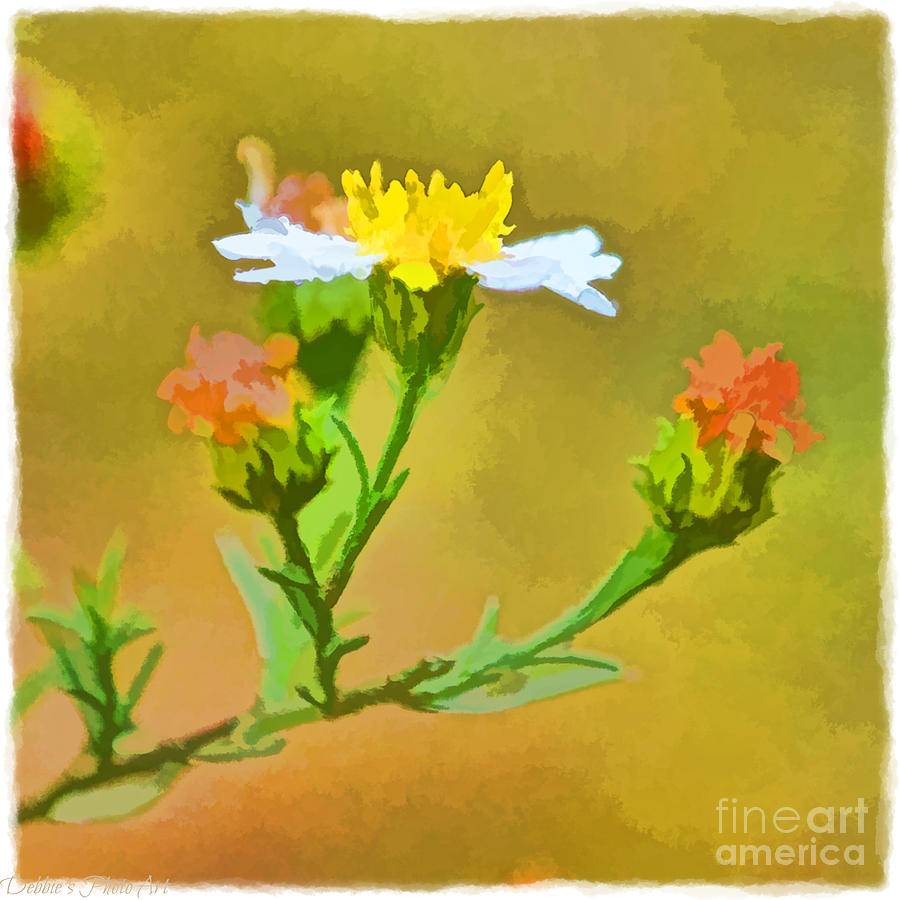 Tiny Wildflowers-Digital Paint I Photograph by Debbie Portwood