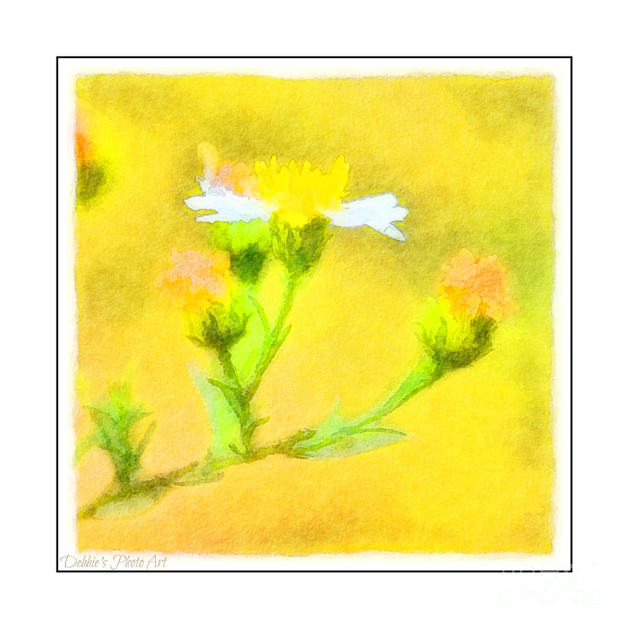 Tiny Wildflowers-Digital Paint II - White frame Photograph by Debbie Portwood