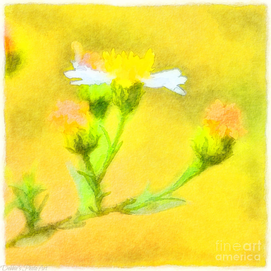 Tiny Wildflowers-Digital Paint II Photograph by Debbie Portwood
