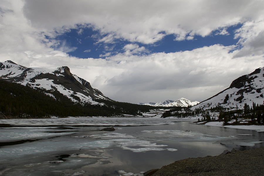 Tioga Lake Photograph by Debra Wales - Fine Art America